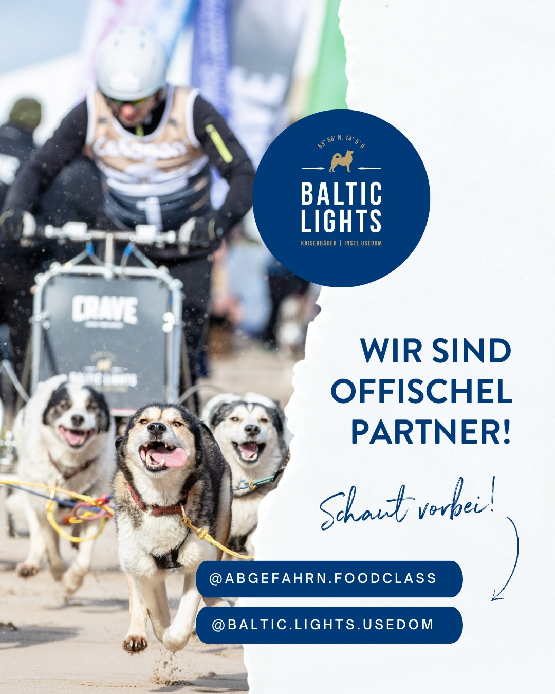 Baltic Ligths. Wir sind offischel Partner!