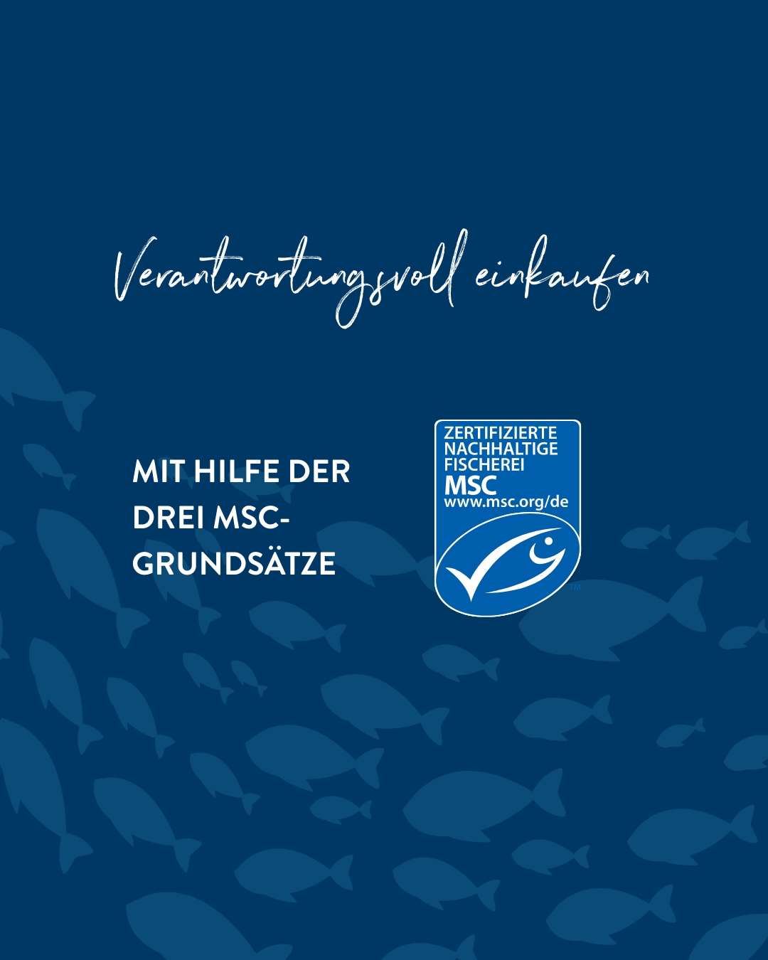 Verantwortungsvoll einkaufen mit Hilfe der drei MSC-Grundsätze.